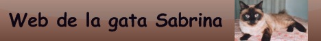 Banner de la web de Sabrina